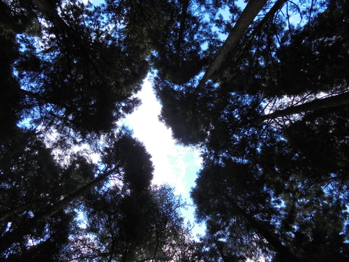 a0209173_23504555.jpg