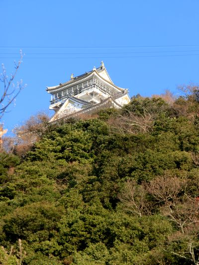 f0084573_15492852.jpg