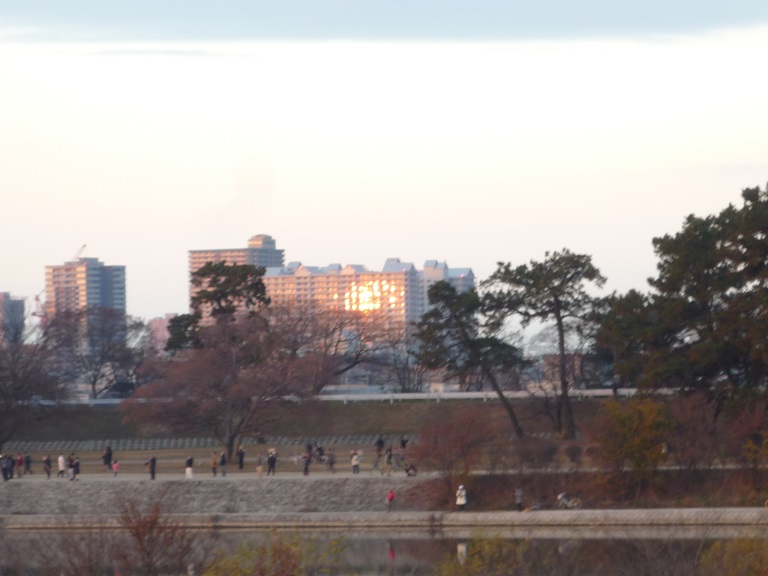 c0086176_1004498.jpg