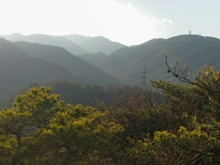 a0066377_00091389.jpg