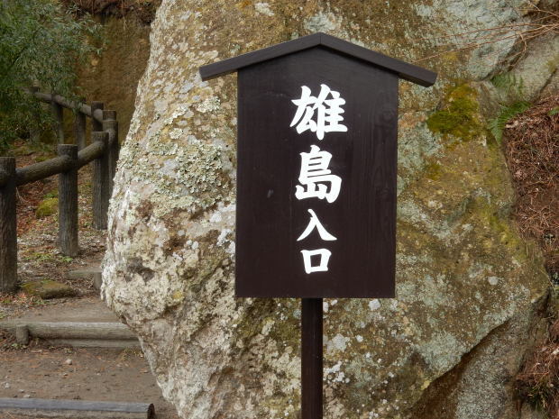 のらくろレポート(29) 松島編①_e0355177_21122382.jpg
