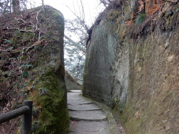 のらくろレポート(29) 松島編①_e0355177_21124807.jpg