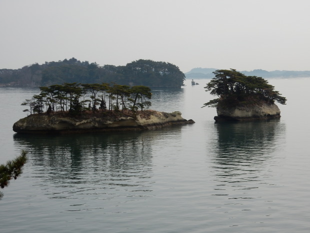 のらくろレポート(29) 松島編①_e0355177_21134931.jpg