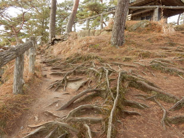 のらくろレポート(29) 松島編①_e0355177_21202696.jpg