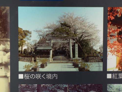 松陰神社・世田谷郷土資・豪徳寺・世田谷城跡●●第15次ぐるっとパスNo.１五島美まで見たこと_f0211178_13365777.jpg