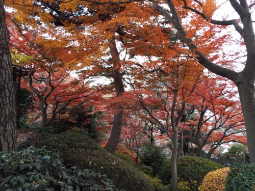 松陰神社・世田谷郷土資・豪徳寺・世田谷城跡●●第15次ぐるっとパスNo.１五島美まで見たこと_f0211178_135739100.jpg