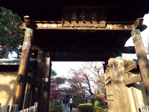 松陰神社・世田谷郷土資・豪徳寺・世田谷城跡●●第15次ぐるっとパスNo.１五島美まで見たこと_f0211178_15532497.jpg