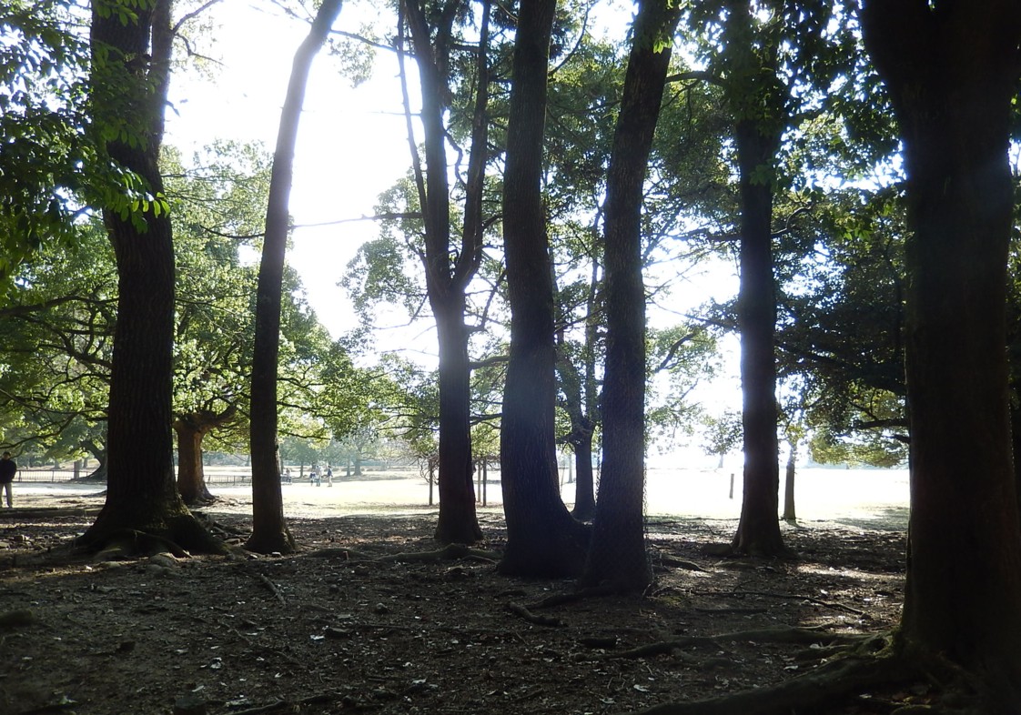c0144185_16282962.jpg