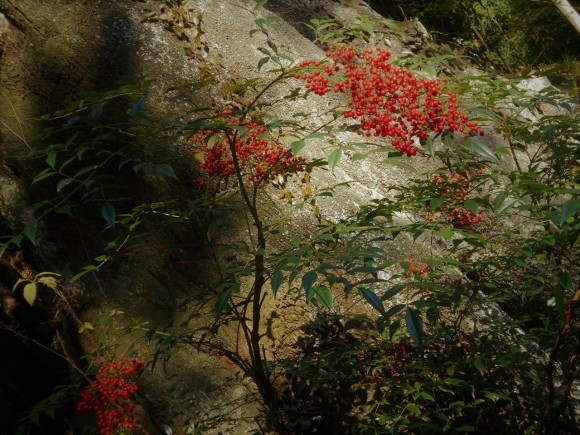 f0375290_09430775.jpg