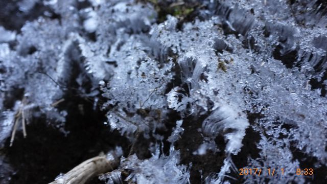 c0133096_16244480.jpg