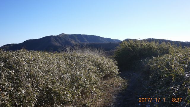 c0133096_16252259.jpg