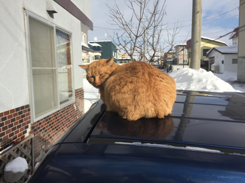 誰かいる⁈_e0271197_22322048.jpg