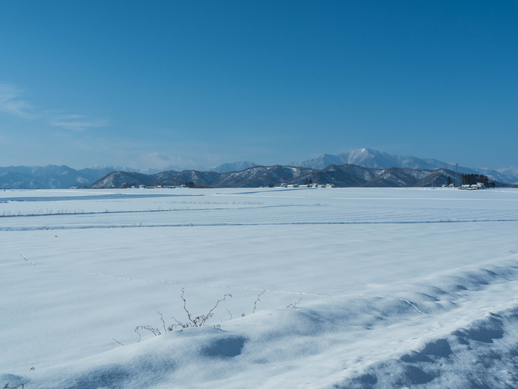 今日は雪の中札内農村風景をご案内しました。_f0276498_21480746.jpg