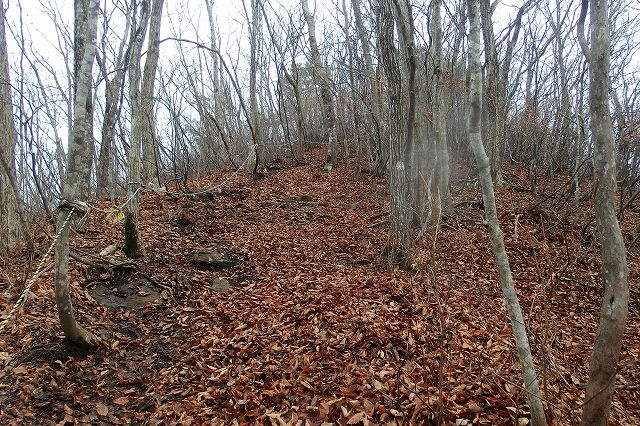 e0137200_18534525.jpg