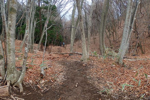 e0137200_1856292.jpg