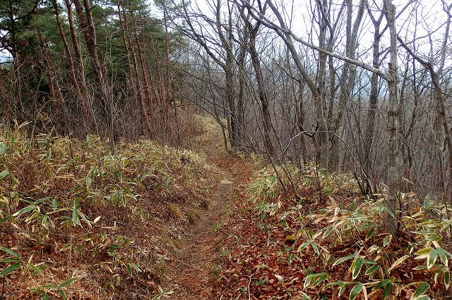 e0137200_185654100.jpg