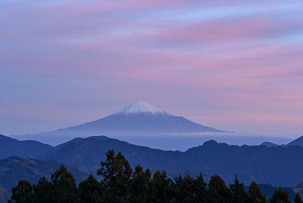 富士山・・_a0044202_515135.jpg