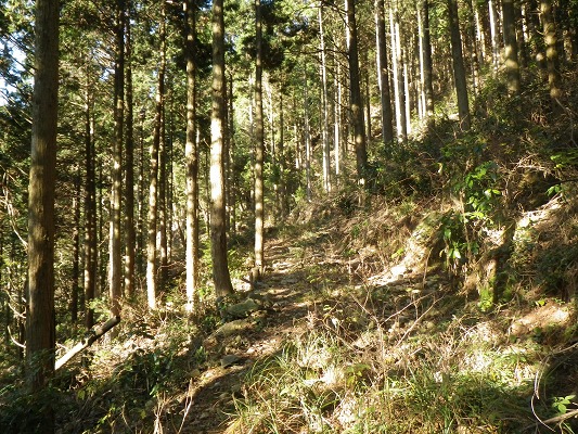 f0187402_2115148.jpg