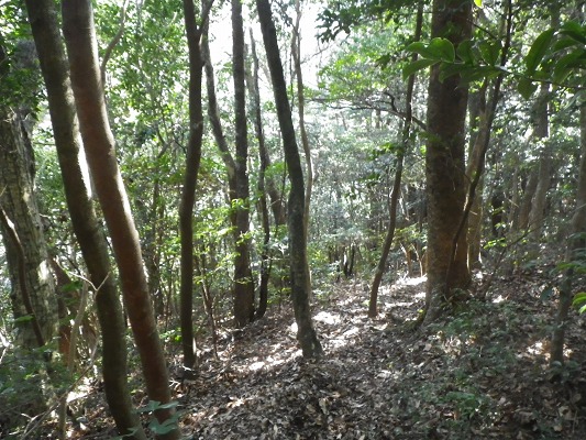f0187402_2116698.jpg