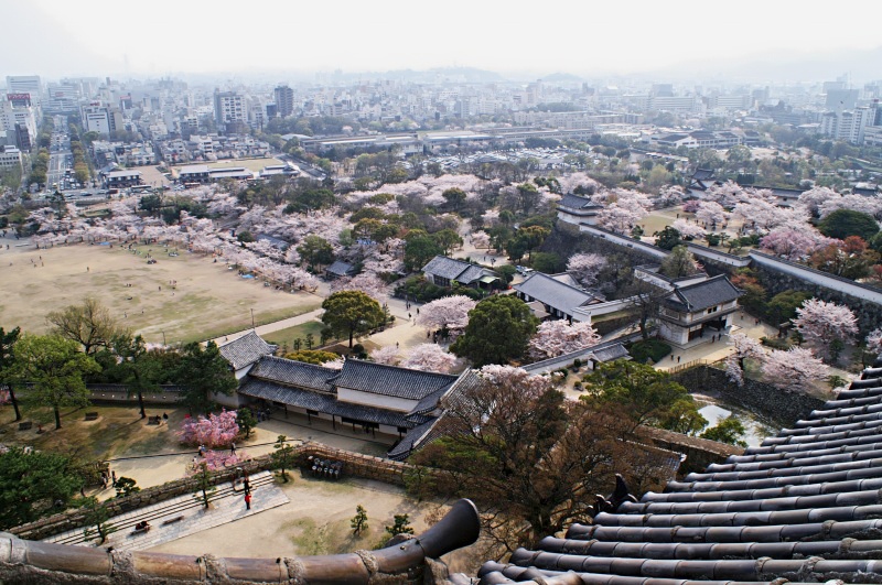 e0039703_1654826.jpg