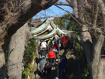 祝 ソロ・ギター練習開始10周年!_c0137404_14175162.jpg