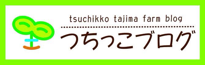 あけましておめでとうございます!_d0099708_12385868.jpg