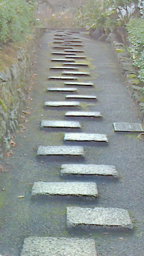c0062511_2383329.jpg