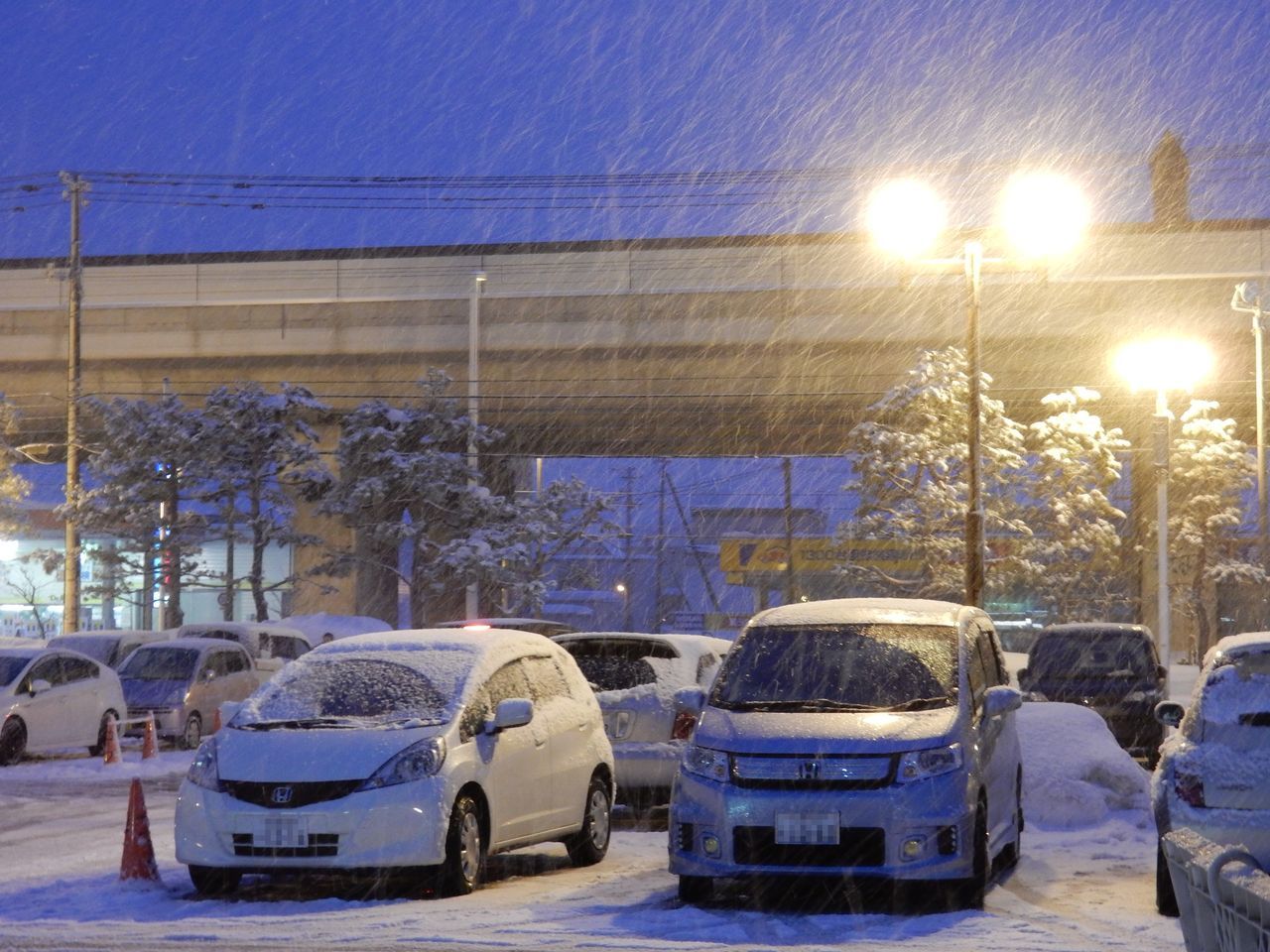 大雪ではないものの_c0025115_20240480.jpg