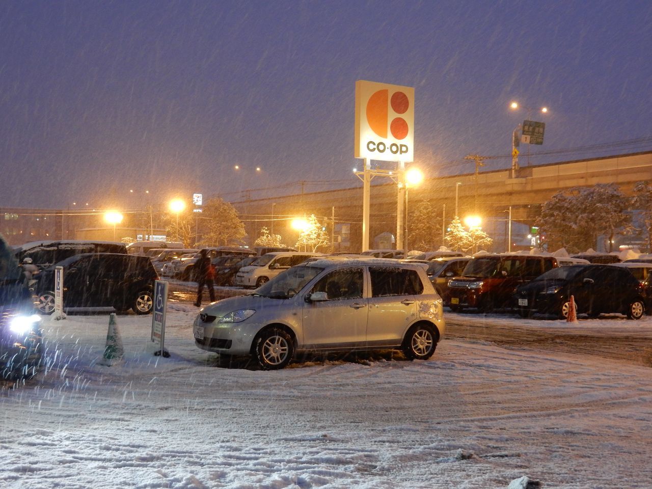 大雪ではないものの_c0025115_20240889.jpg