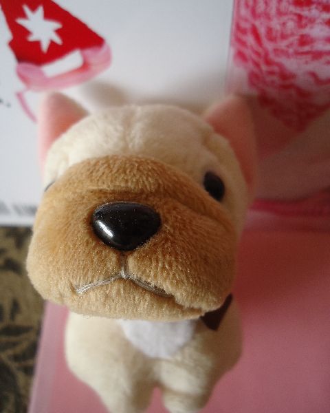 b0248920_1552823.jpg