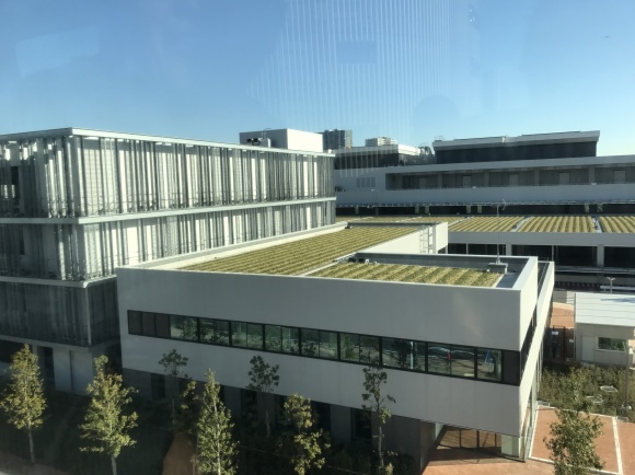c0020320_10561755.jpeg