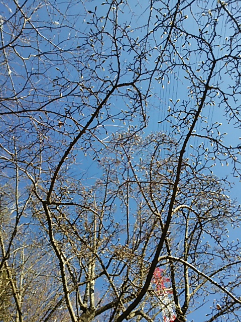 c0150520_23373083.jpg