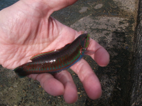 a0279321_17143690.jpg