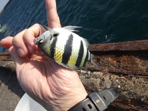 a0279321_17233060.jpg