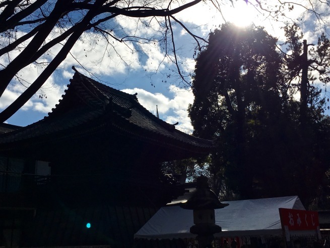 大國魂神社@府中。_d0352022_00280356.jpg