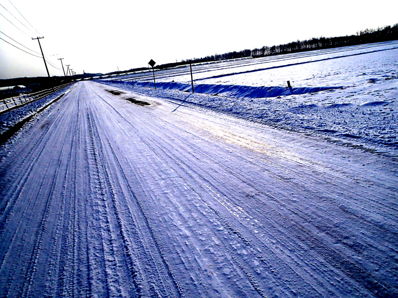 e0361225_1313359.jpg