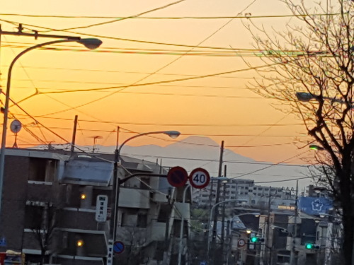e0016828_11532827.jpg