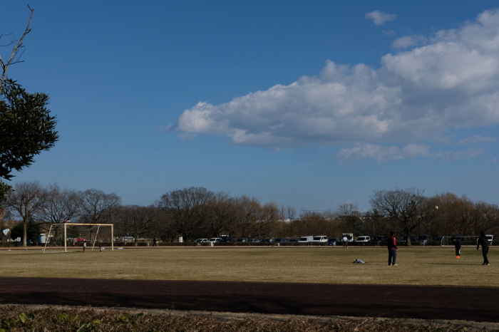 彩湖グリーンパークでOSANPO_f0363628_17170523.jpg