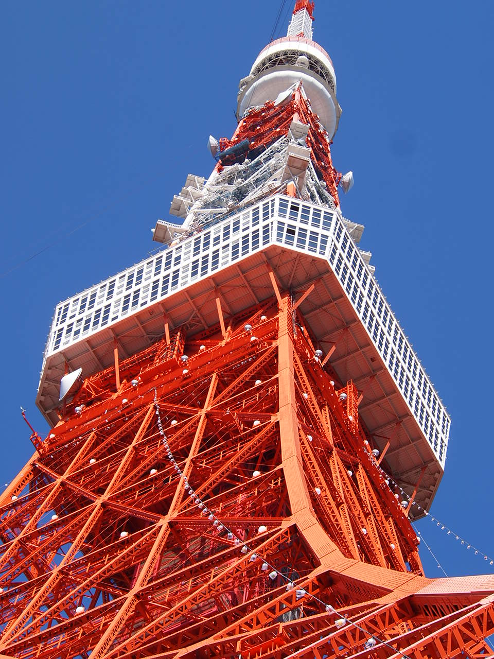 「東京タワー展望台」より俯瞰して・・・・・・。_a0214329_22573528.jpg