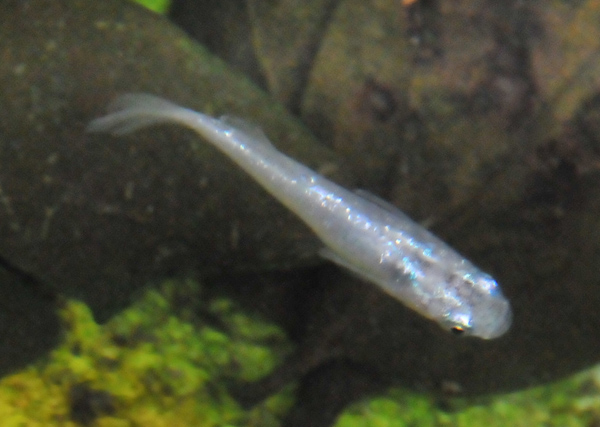 e0097534_1513281.jpg