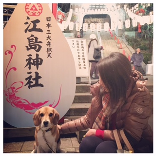 初詣は江の島神社　へ。_d0268536_859537.jpg