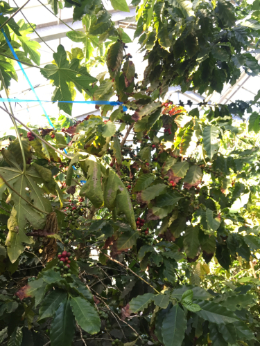 f0214139_14242441.jpg