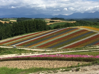 2016年夏　美瑛の丘に泊まる_d0059240_14583080.jpg