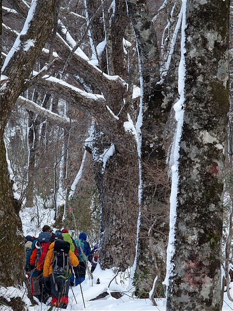 20170103_北泉ヶ岳_c0081645_20132473.jpg