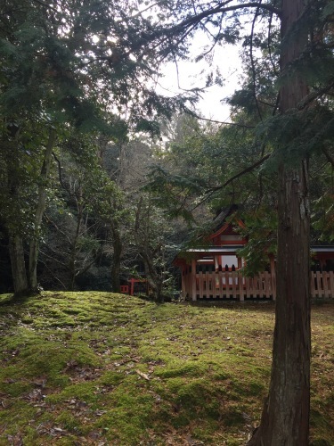 f0318145_13341772.jpeg