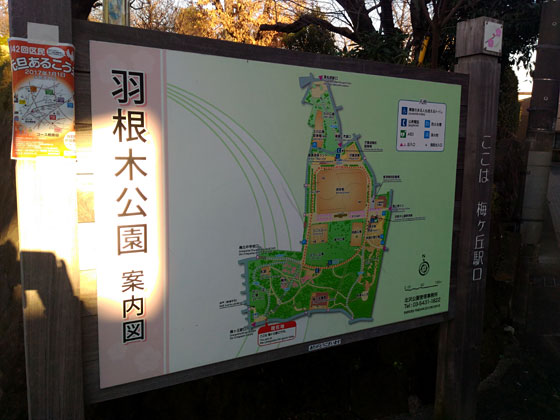 羽根木公園。_c0335348_3172943.jpg