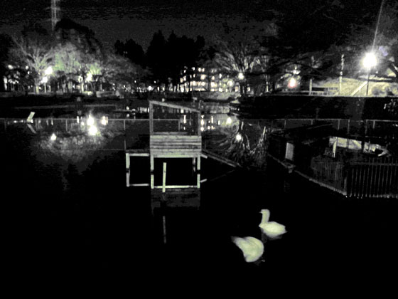 c0335348_425878.jpg