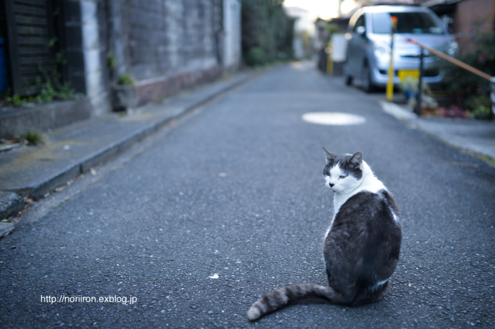 年末のタンク_a0277958_14331209.jpg