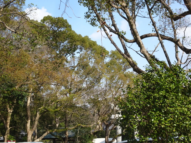 c0108460_18065148.jpg
