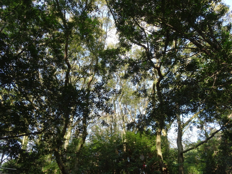 c0108460_18073376.jpg